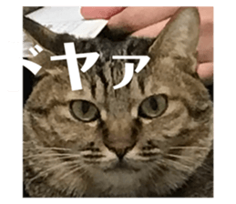 498446777