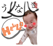 498456384