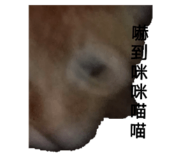 498465156
