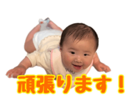 498470806