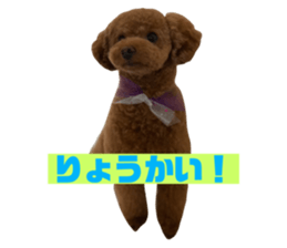 498478304