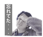 498564420