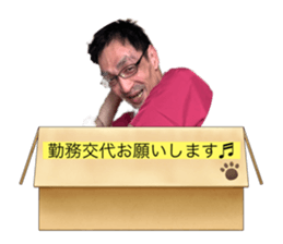 498620080