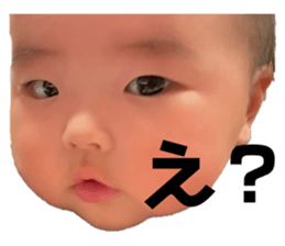 498629825