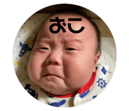 498648634