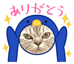 498657393