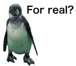 498698947