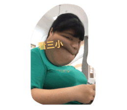 498727575