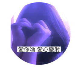 498864004
