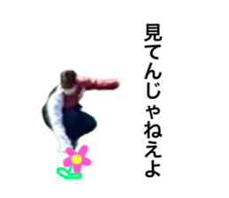 498866217