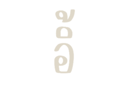 498875404