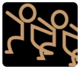 498876773