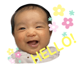 498879591