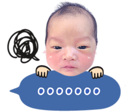498881600
