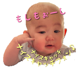 498882806