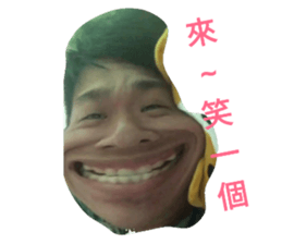49889388