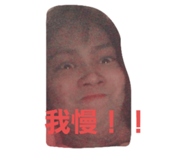 498896392