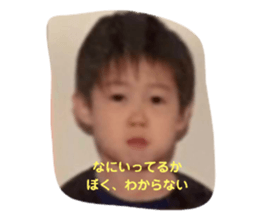 498896394