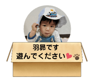 498900813