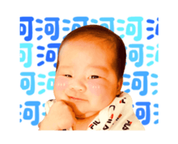 498914050