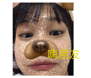 498960733