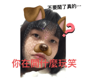 498960740