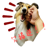 498966640