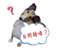498966645