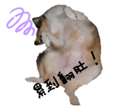 498966646