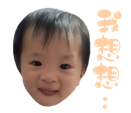 498981429