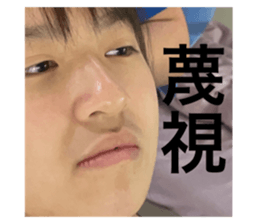 498987290