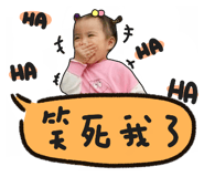 49904343