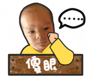 49904349