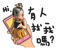 49904356