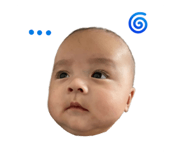 499142744