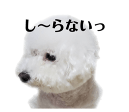 499167193