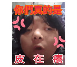 499167377