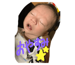 499175255
