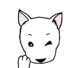 4991814