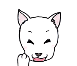 4991822