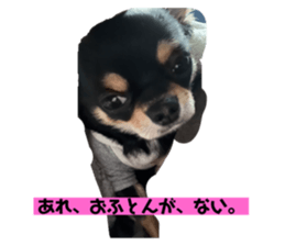 499189921