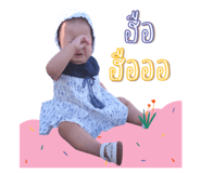 499222837