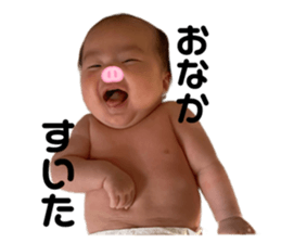 499250001