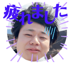 499252952