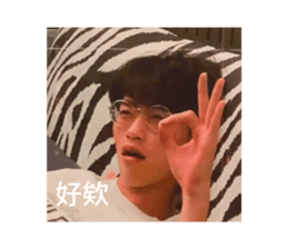 499256631