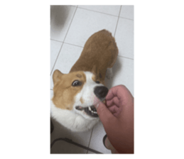 499257999