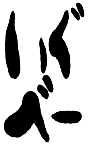 499272407