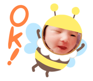 499359134