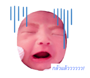 499359154