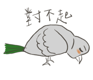 499402612
